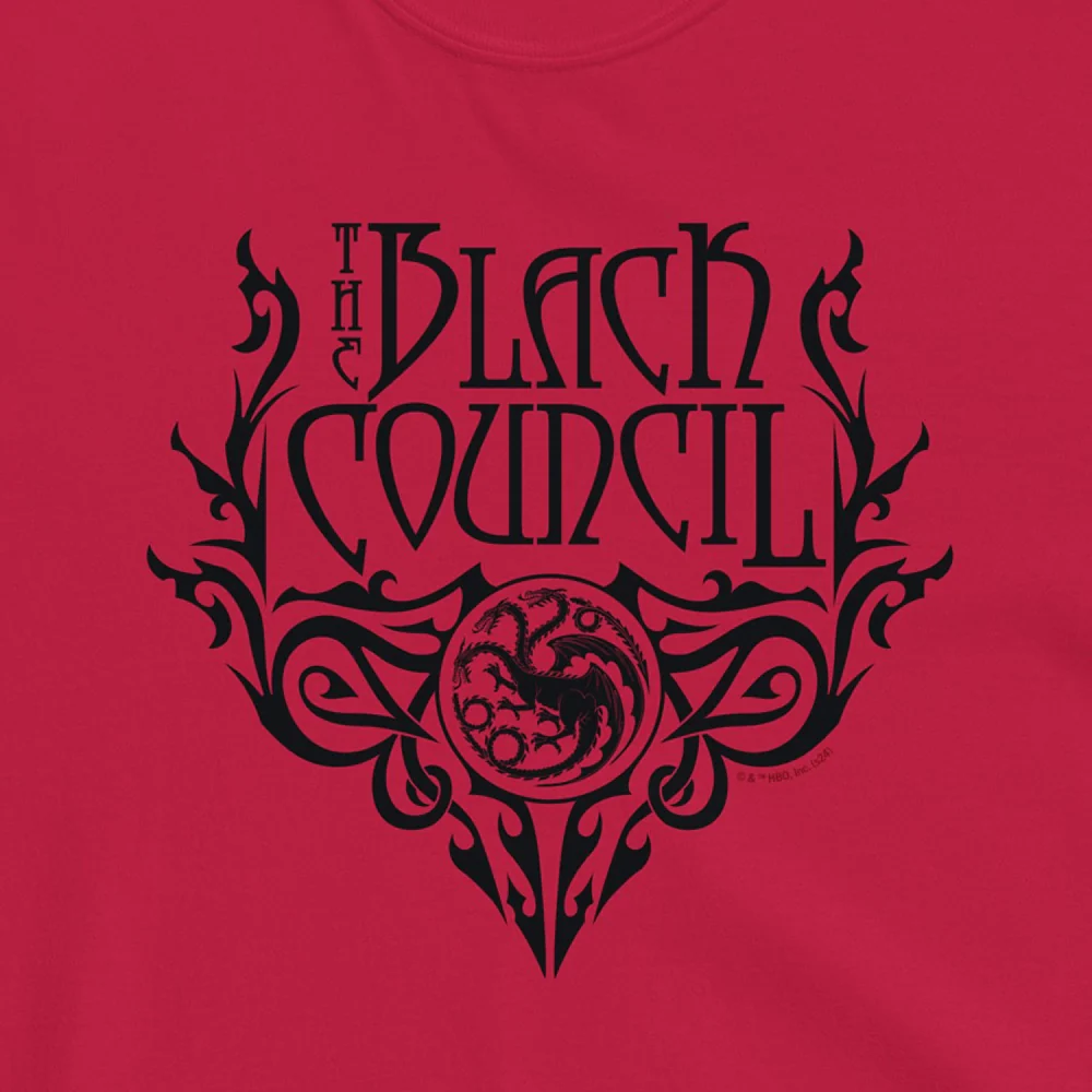 House of the Dragon The Black Council Comfort Colors T-shirt - Image 2